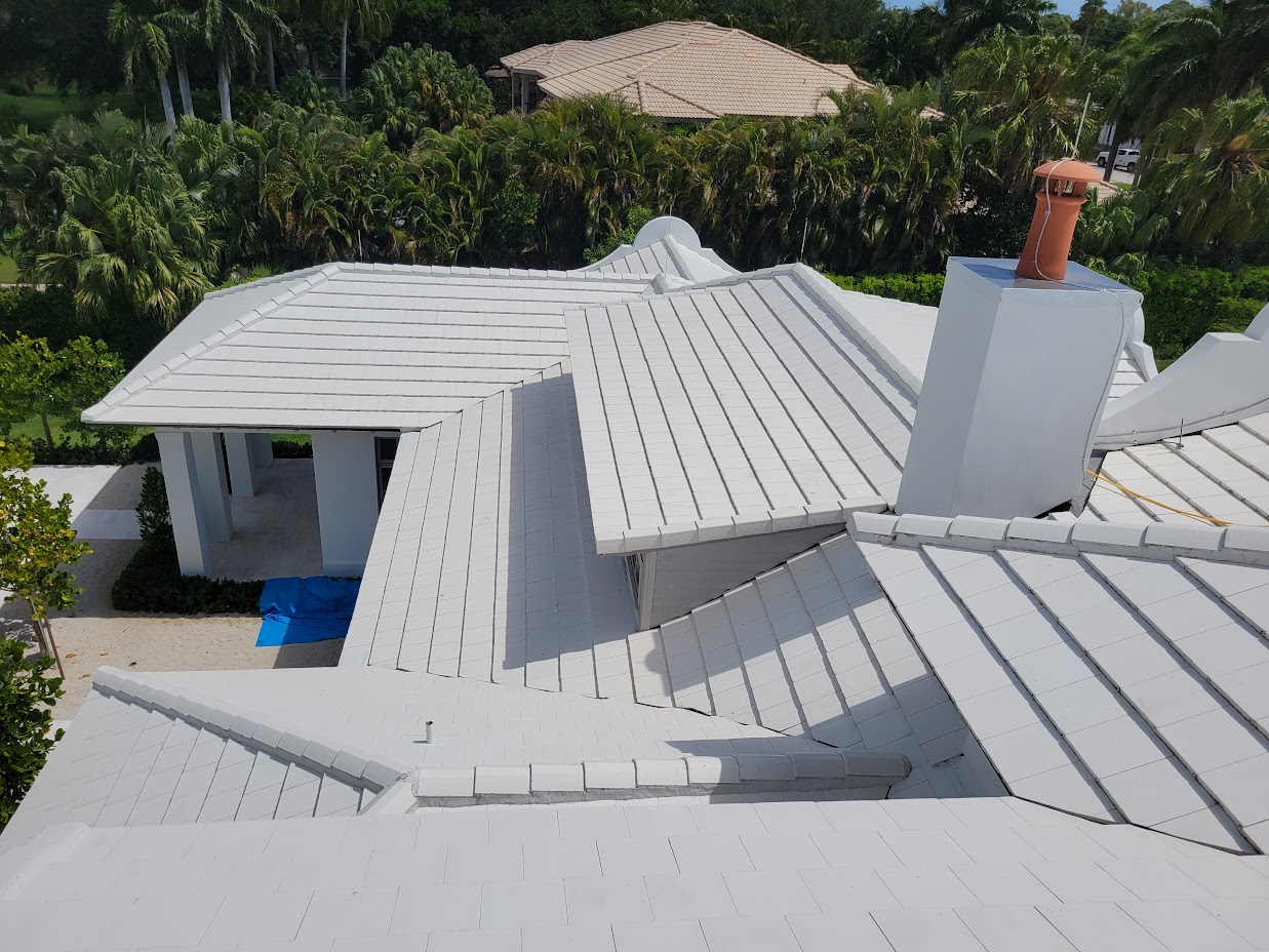 Roof Cleaning