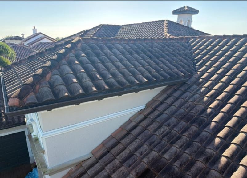 Tile roof covered in dark black algae streaks before soft wash cleaning in Viera, FL